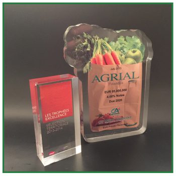 trophee plexi personnalisé