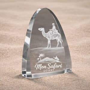 Trophée en verre optique arrondi