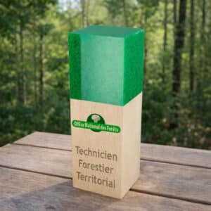 Trophée colonne bois plexi personnalisé sur mesure.