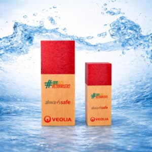 Trophée colonne bois plexi personnalisé sur mesure.