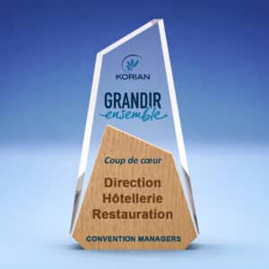 Trophée personnalisé PMMA bois Design voile