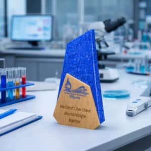 Trophée personnalisé PMMA bois Design voile