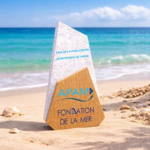 Trophée personnalisé PMMA bois Design voile