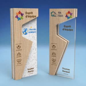 Trophée personnalisé entreprise original bois et PMMA