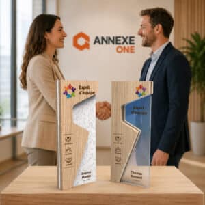 Trophée personnalisé entreprise original bois et PMMA coloré