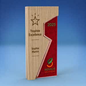Trophée personnalisé entreprise original bois et PMMA coloré