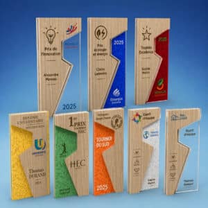 Trophée personnalisé entreprise original bois et PMMA coloré sur mesure