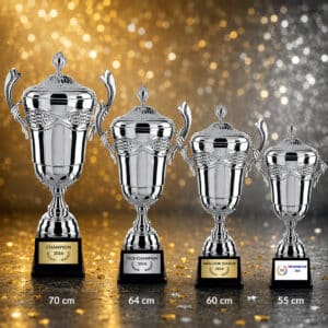 Trophée coupe métal argent